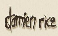logo Damien Rice